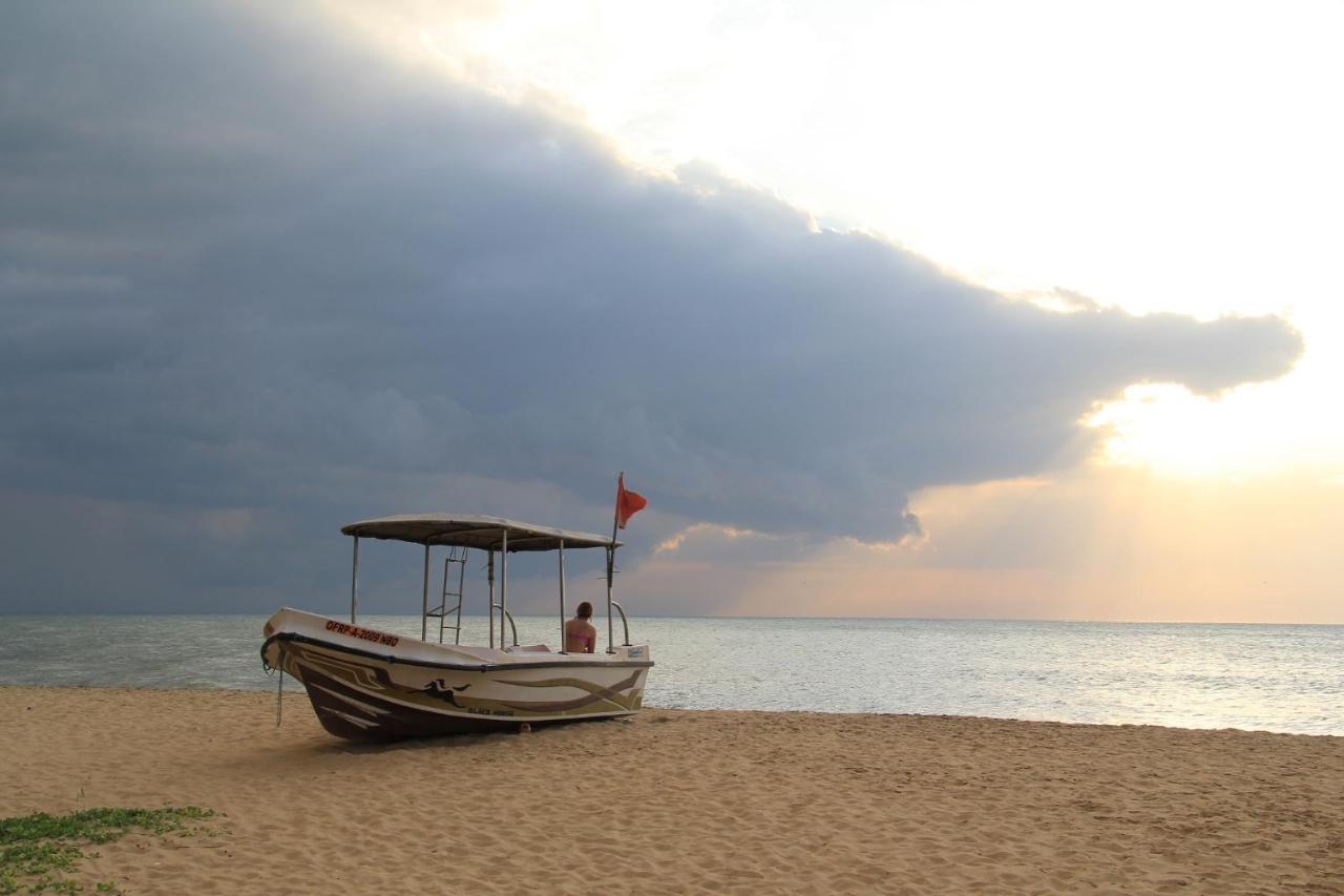 Zendara Hotel Negombo Exteriér fotografie