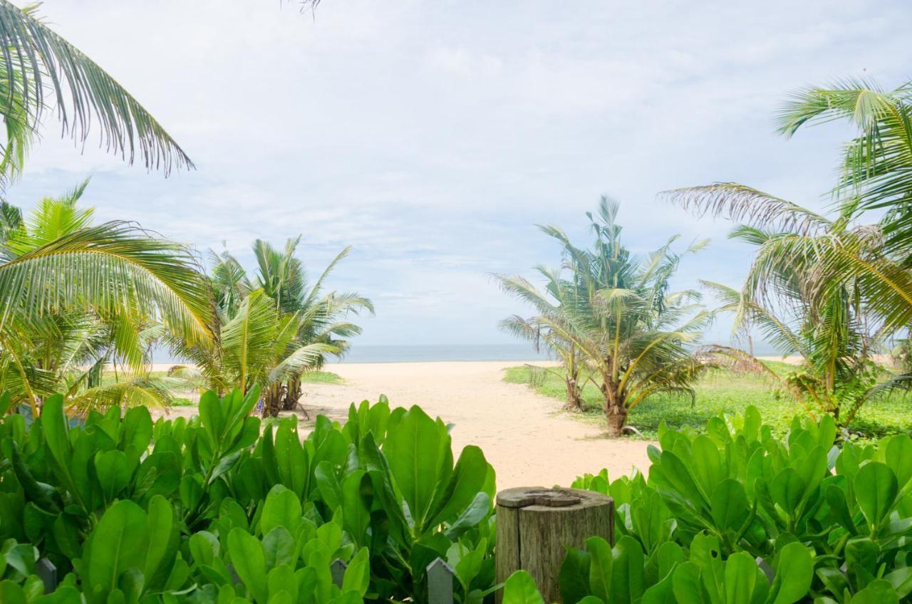Zendara Hotel Negombo Exteriér fotografie